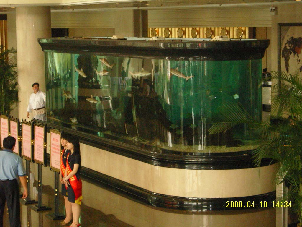 舟山裝飾魚缸價(jià)格