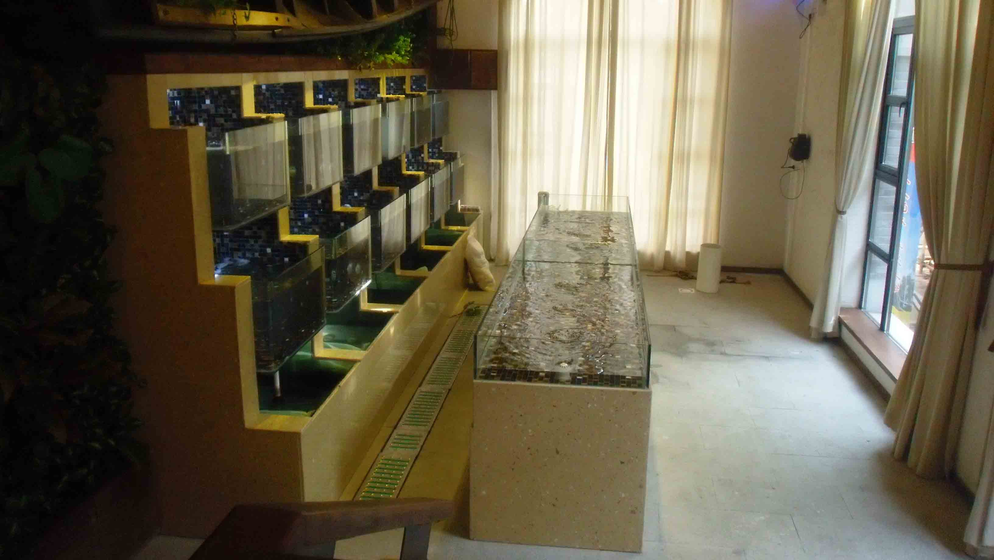 永康裝飾魚缸生產廠家