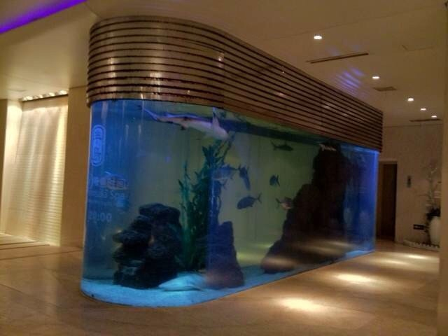 臨海生態(tài)魚缸多少錢