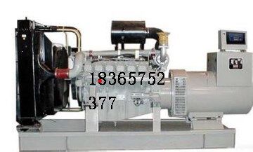 津南區(qū)出租發(fā)電機  租賃發(fā)電機  靜音  大型發(fā)電機  18365752377原始圖片3