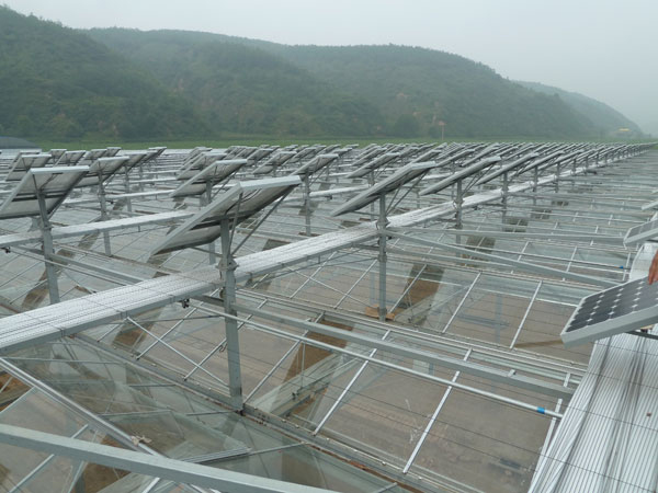 【山東光伏智能溫室承建-河北光伏智能溫室承建】