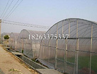 陽光板溫室建設 陽光板智能溫室公司推薦