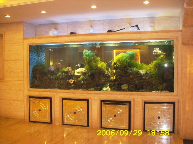 福建上海魚(yú)缸定做