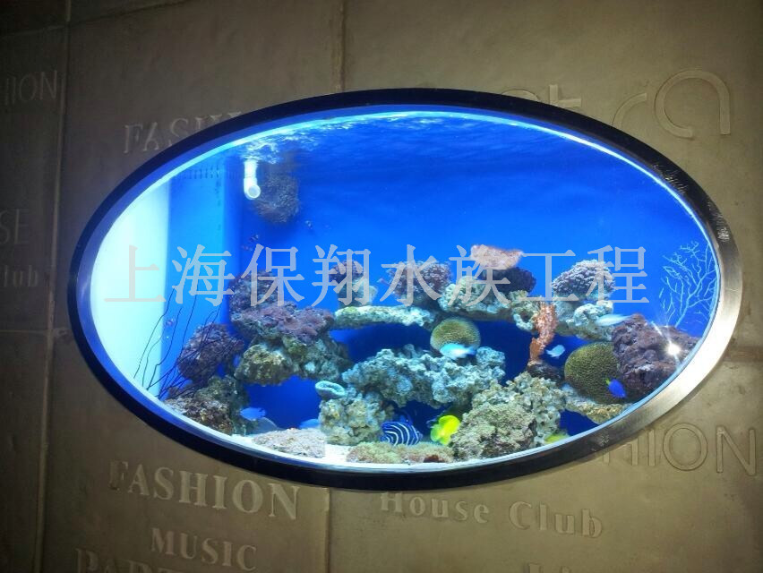 山東海水魚缸批發(fā)