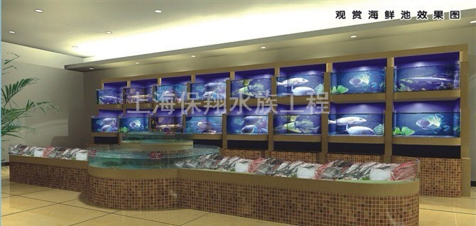 水族公司批發(fā)
