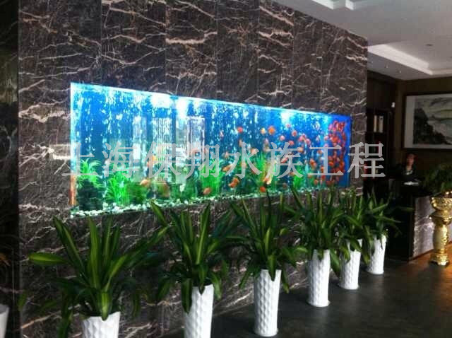 登封亞克力魚缸