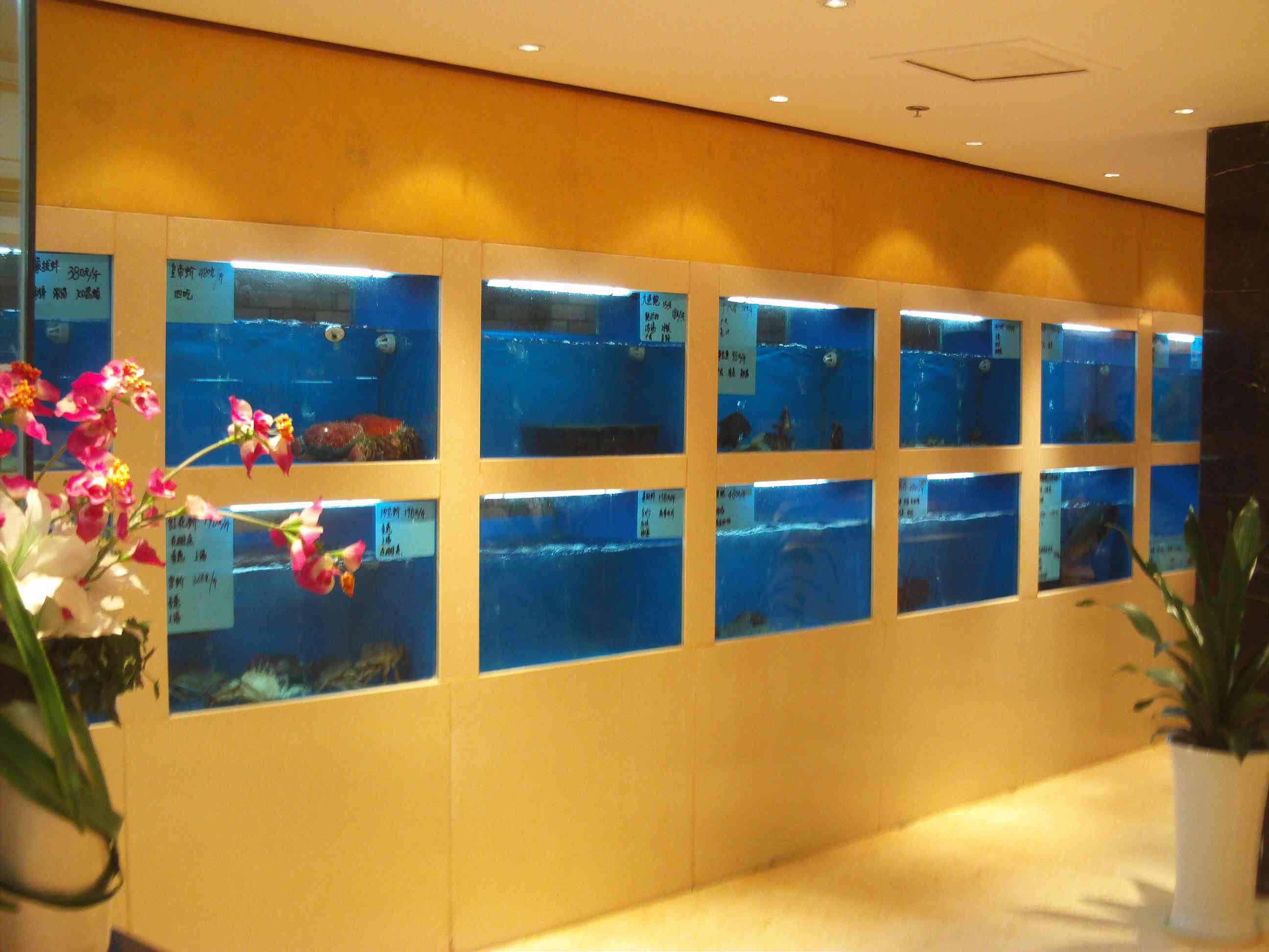 荊州魚缸工廠