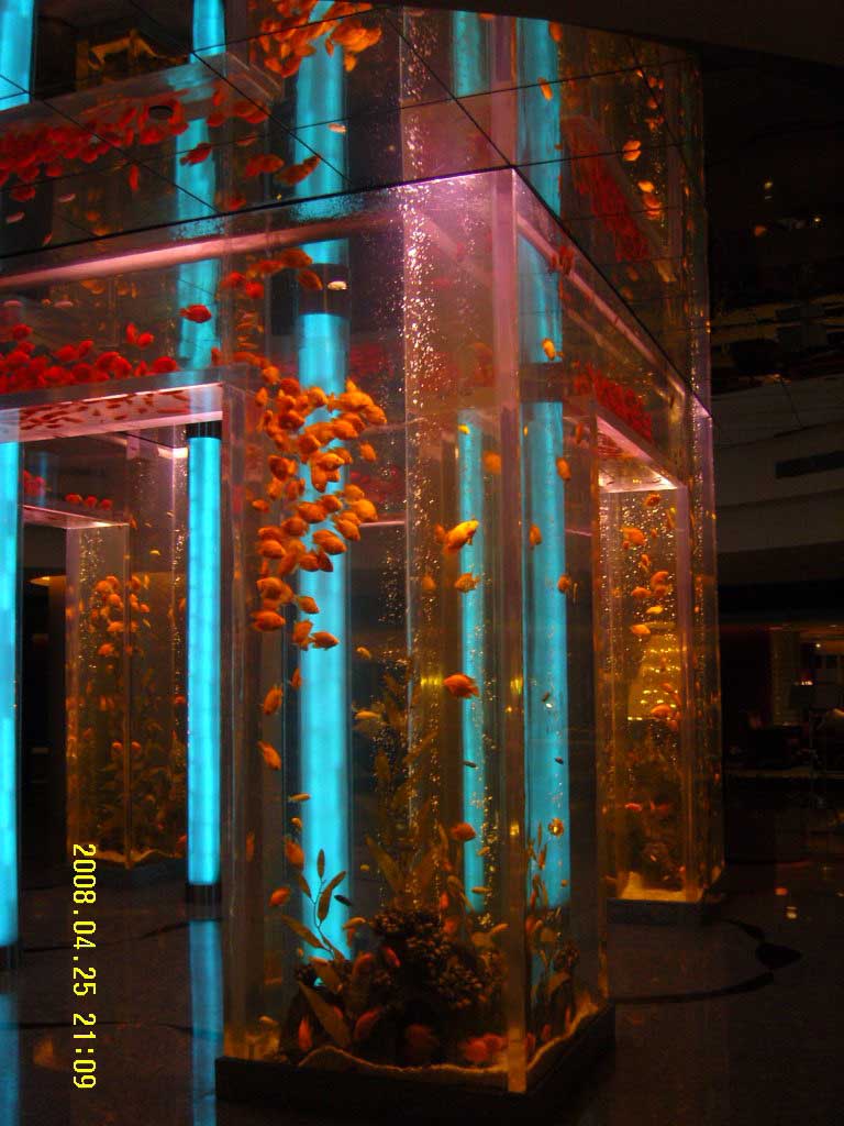 寧夏景觀魚缸廠家