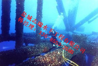 水下焊接施工公司---鹽城志瑞水下工程原始圖片3