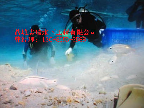 湘西市水下堵漏公司