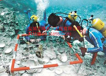 石家莊市水下檢測公司原始圖片3