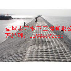 蚌埠市混凝土模袋施工公司原始圖片2
