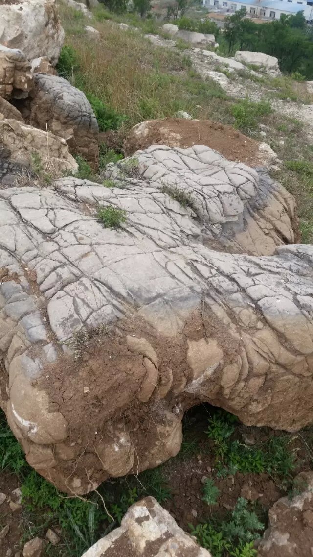 青島龜紋石，青島千層石，青島水紋石，青島假山石。假山安裝湖岸制作