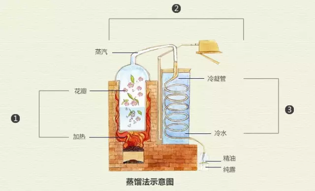 依思佩爾Easpeer玫瑰賦活水的魅力