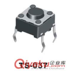 輕觸開關(guān)TS-034C