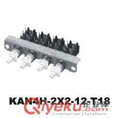 直鍵開關KAN4H-2X2-12-T18