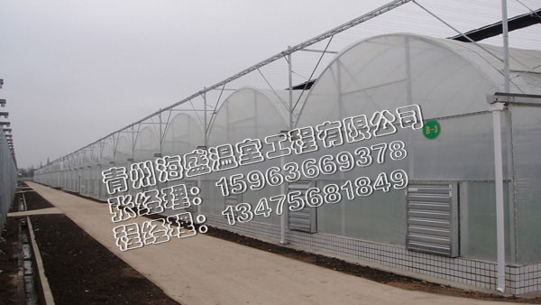 海盛+《青州溫室建造*青州花卉溫室建造*濰坊智能溫室建設》