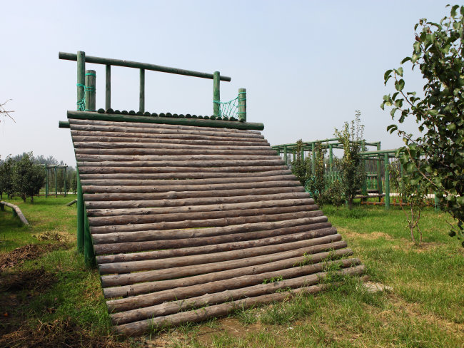 畢業(yè)墻