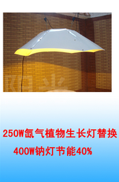 防爆泛光燈/善達節能科技