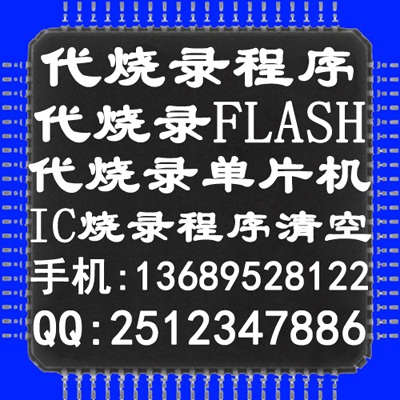 代燒錄WINBOND FLASH 單片機(jī)