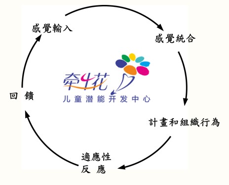 東莞兒童感統失調|兒童感統失調康復zl