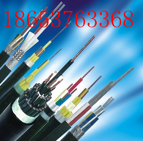 控制電纜 聚氯乙烯控制電纜 交聯聚乙烯控制電纜