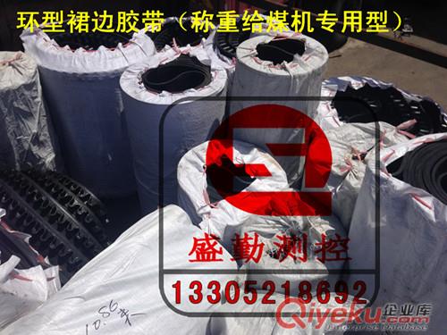 鏈碼，皮帶秤鏈碼（普鋼鏈碼、不銹鋼鏈碼）徐州盛勤測(cè)控