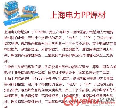 上海電力PP-G232不銹鋼焊條 G232不銹鋼焊條