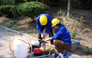 中山廠房白蟻防治 中山市白蟻防治所