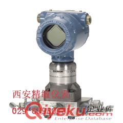 羅斯蒙特2051變送器