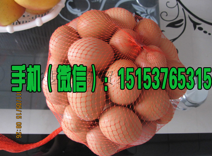 雞蛋網袋/柴雞蛋網袋/笨雞蛋網袋