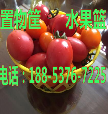 鸡蛋塑料筐/鸡蛋塑料筐价格/塑料鸡蛋塑料筐批发