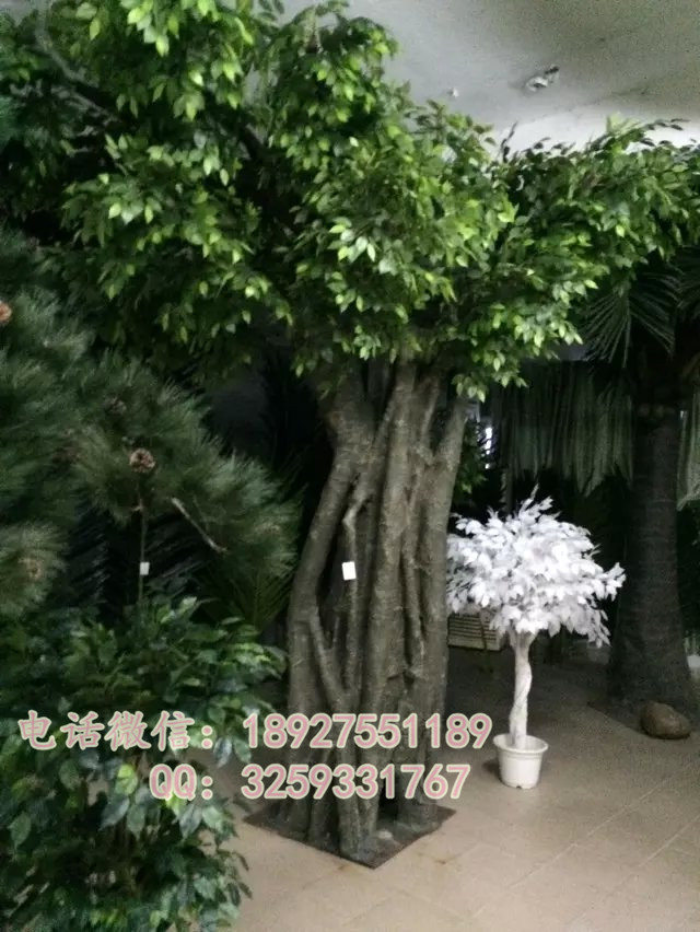 圣緣景觀仿真榕樹制作，尺寸造型可定做 人造榕樹生產廠家