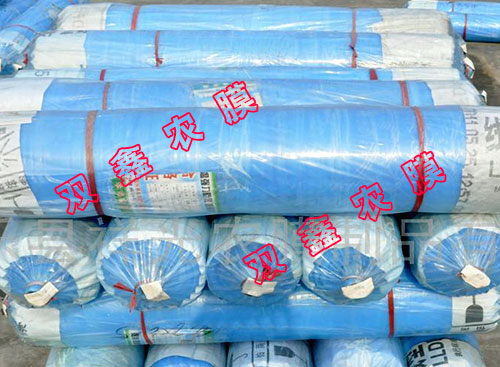 水果專用膜報(bào)價(jià) 優(yōu)質(zhì)水果專用膜價(jià)格便宜 國祥供