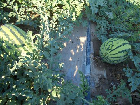 雙防膜報價 雙防膜{zx1}報價 雙防膜哪家好 國祥供