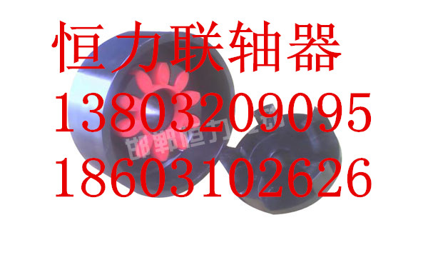 邯鄲梅花聯軸器廠家/河北邯鄲恒力傳動機械