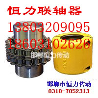 剛性聯(lián)軸器廠家/河北邯鄲恒力傳動(dòng)機(jī)械