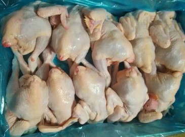 口碑好的冷凍三黃雞供應商_奧美食品：冷凍三黃雞價格