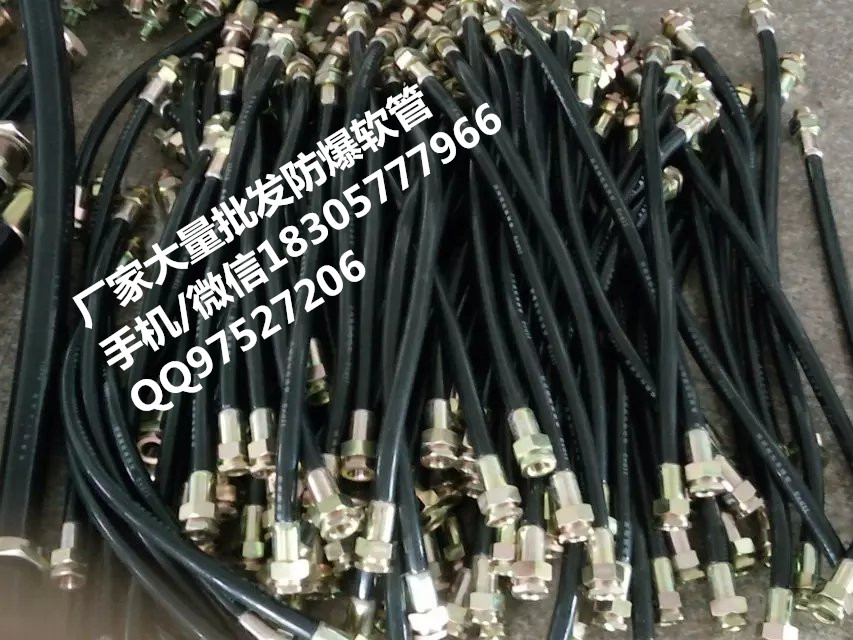 NGd-20x1000防爆密封接頭撓性管G3/4-1/2NPT原始圖片2