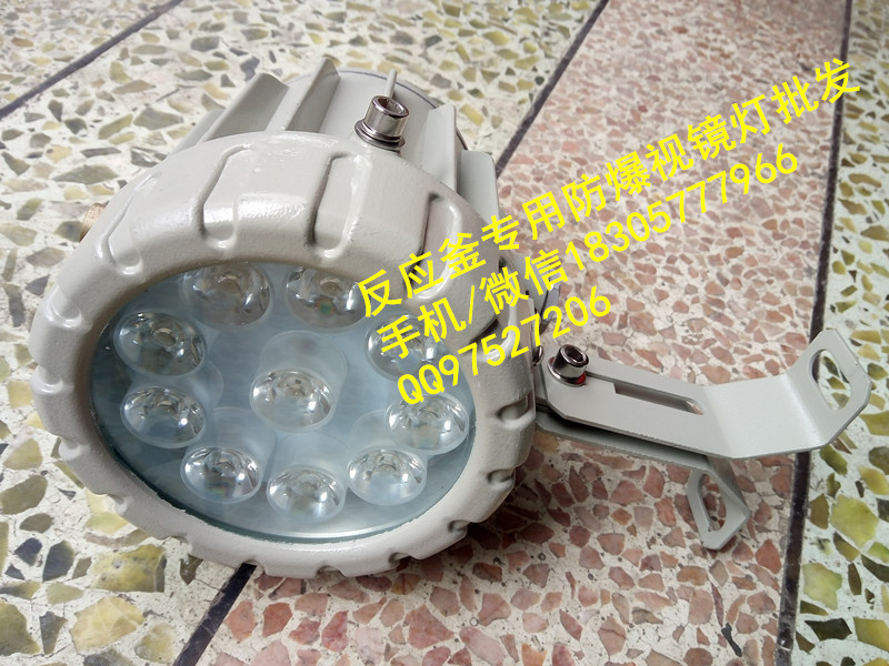 反應釜防爆視鏡燈20w,24v36Vled防爆視孔燈原始圖片2