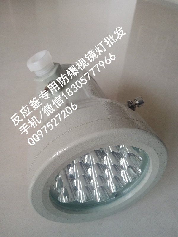 反應釜防爆視鏡燈20w,24v36Vled防爆視孔燈原始圖片3