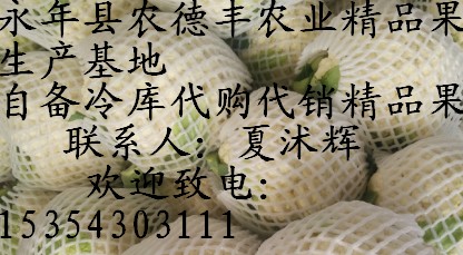 江苏徐州青梗散花大量上市|青梗散花基地直供|青梗散花价格底