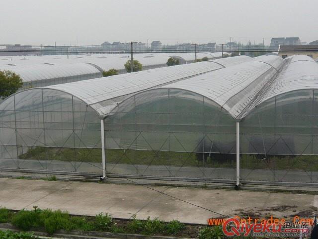 智能溫室、陽光板溫室、玻璃溫室、溫室大棚原始圖片3