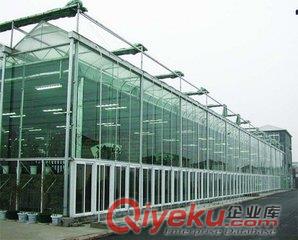 新疆櫻桃種植溫室