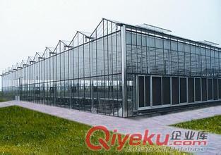 新疆櫻桃種植溫室原始圖片2