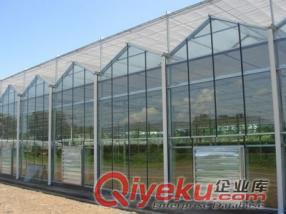 溫室大棚、智能溫室、新型溫室、新疆溫室、豐必源溫室