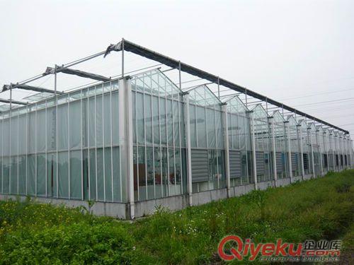 新疆溫室大棚、養(yǎng)殖大棚