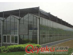 溫室骨架、新建溫室原始圖片2