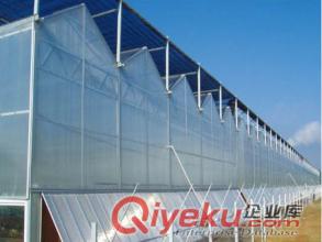 新疆溫室原始圖片2