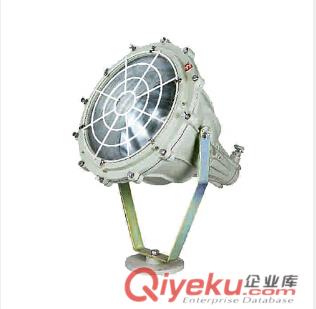 BAT51(BTd)防爆投光燈 一體式防爆投光燈 分體式防爆投光燈廠家原始圖片2